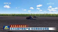 一步把粮食单产和质量提上去