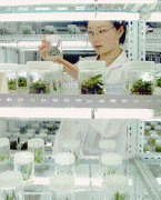 <b>法效率和程度”的分歧</b>